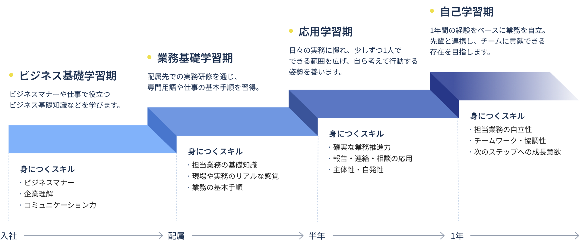入社：『ビジネス基礎学習期』ビジネスマナーや仕事で役立つビジネス基礎知識などを学びます。身につくスキル：ビジネスマナー、企業理解、コミュニケーション力。配属：『業務基礎学習期』配属先での実務研修を通じ、専門用語や仕事の基本手順を習得。身につくスキル：担当業務の基礎知識、現場や実務のリアルな感覚、業務の基本手順。半年：『応用学習期』日々の実務に慣れ、少しずつ1人でできる範囲を広げ、自ら考えて行動する姿勢を養います。身につくスキル：確実な業務推進力、報告・連絡・相談の応用、主体性・自発性。1年：『自己学習期』1年間の経験をベースに業務を自立。先輩と連携し、チームに貢献できる存在を目指します。身につくスキル：担当業務の自立性、チームワーク・協調性、次のステップへの成長意欲。
